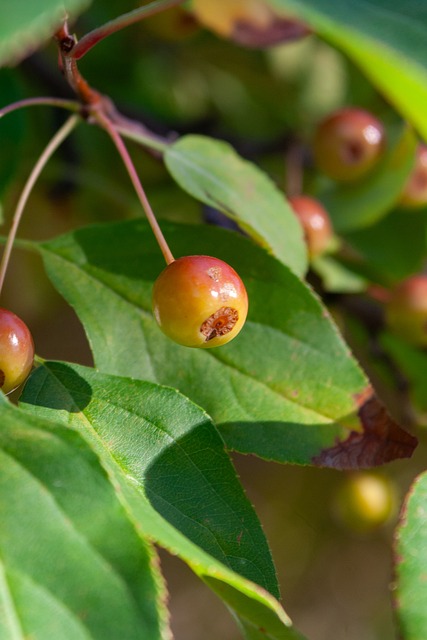 赛前梅州球迷晒多幅Tifo，致敬投资人魏晋平与梅州全体队员