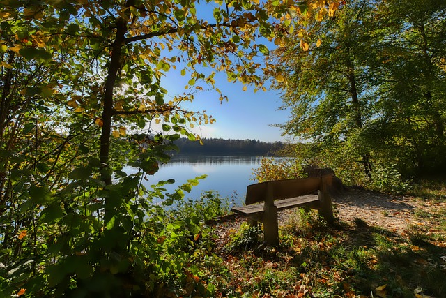 2026年世界杯抽签结果出炉，12个小组具体分析，意大利队运气不错