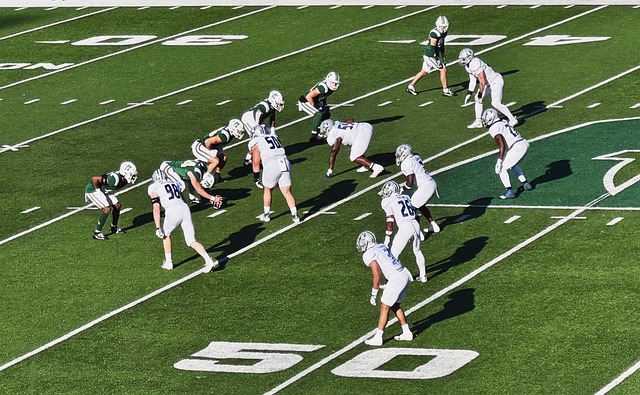 的不仅是赛 的不仅是赛