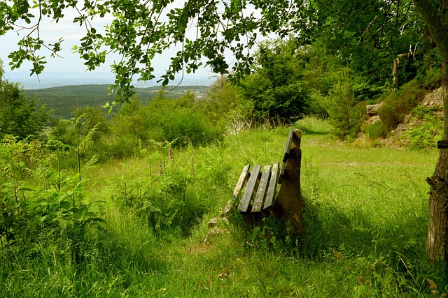他以坚韧的 他以坚韧的