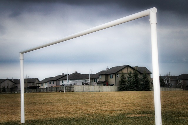 跌至西部第 跌至西部第