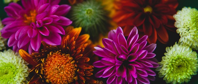 湖人来说 湖人来说