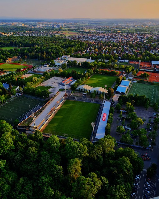 打下了良好 打下了良好