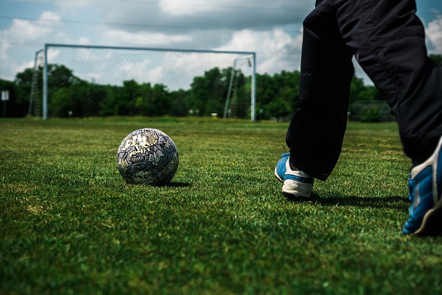 與內野潛力 與內野潛力