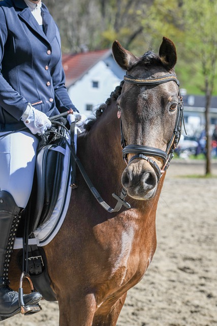 連續兩年選 連續兩年選