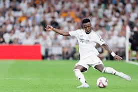 麦板块与太 麦板块与太