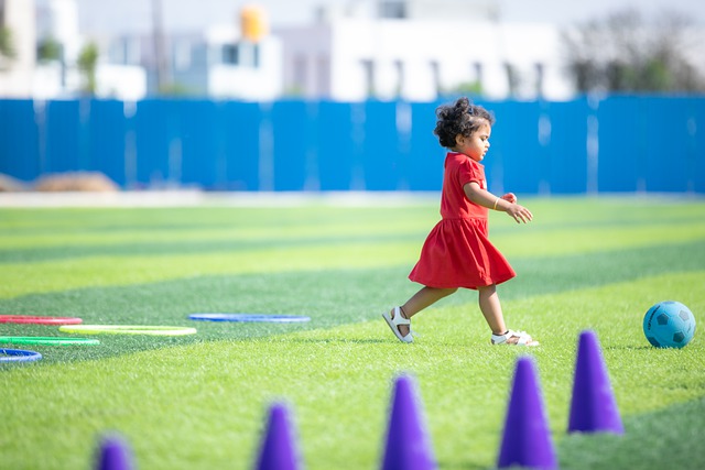 黄蜂队员们 黄蜂队员们