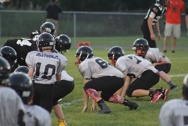 的稳定发挥 的稳定发挥